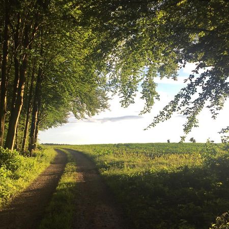 Ferienwohnung Pagel Riedenburg Zewnętrze zdjęcie