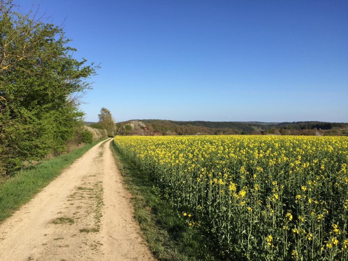 Ferienwohnung Pagel Riedenburg Zewnętrze zdjęcie
